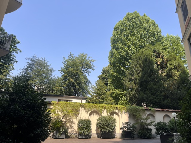 PDG Immobiliare - Patrizia De Grandis