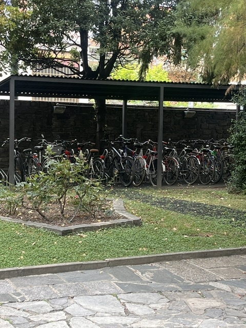 PDG Immobiliare - Patrizia De Grandis