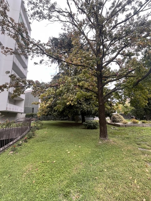 PDG Immobiliare - Patrizia De Grandis